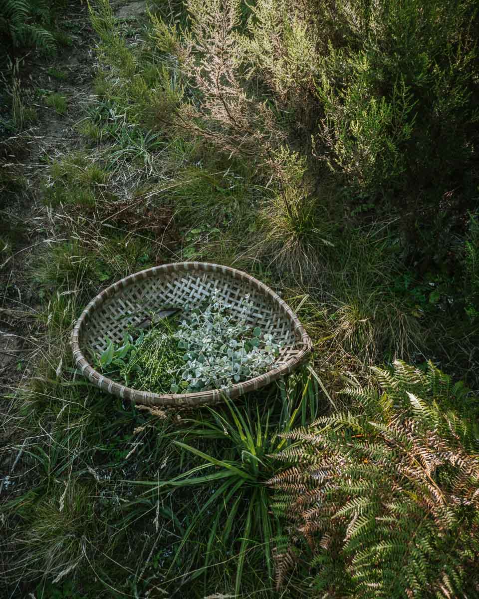 A round woven basket filled with small white flowers and green leaves, placed on the ground among grass, ferns, and shrubs in a natural outdoor setting.