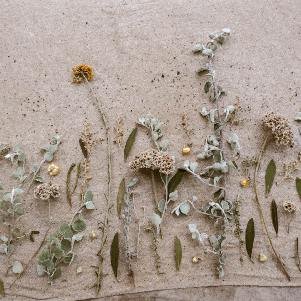 A styled flat-lay of dried and pressed botanical elements, including sage green leaves, small yellow flowers, and a single orange blossom, arranged on a textured beige linen fabric.